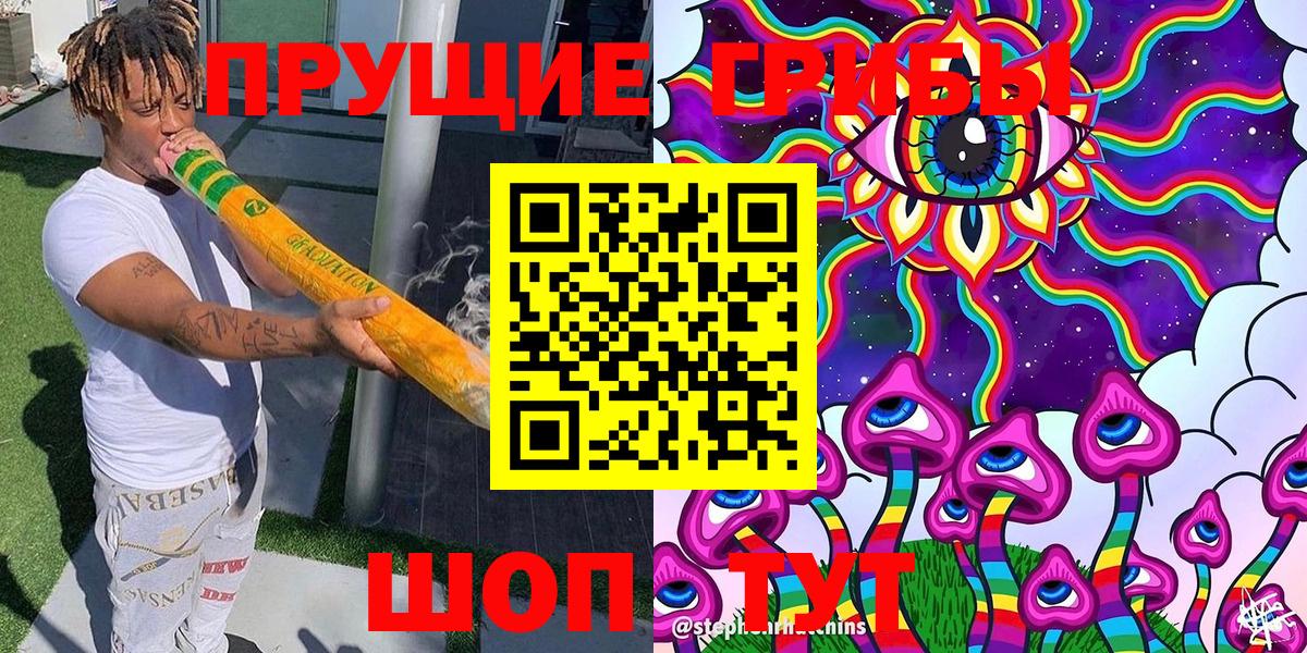 Псилоцибиновые грибы Psilocybine cubensis  Вход с VPN  Котовск 