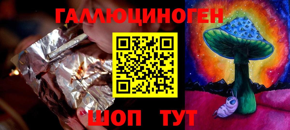 Псилоцибиновые грибы Psilocybine cubensis Котовск