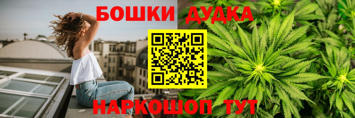 Бошки Шишки конопля Котовск